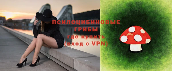 ГАЛЛЮЦИНОГЕННЫЕ ГРИБЫ Каменка