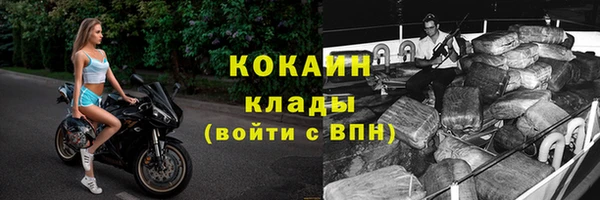 ГАЛЛЮЦИНОГЕННЫЕ ГРИБЫ Каменка