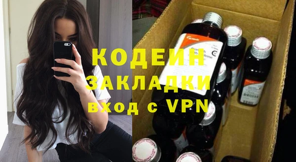 ГАЛЛЮЦИНОГЕННЫЕ ГРИБЫ Каменка