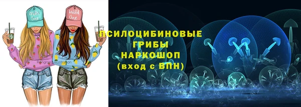 ГАЛЛЮЦИНОГЕННЫЕ ГРИБЫ Каменка