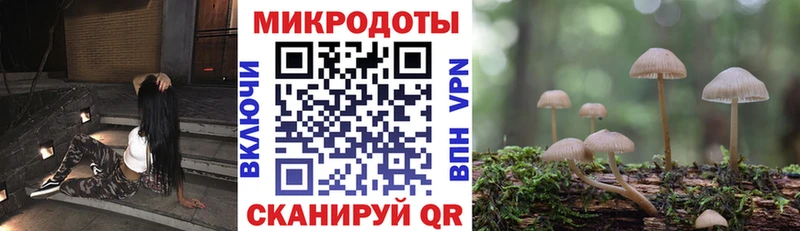 Псилоцибиновые грибы Psilocybine cubensis  Купить где  Демидов 